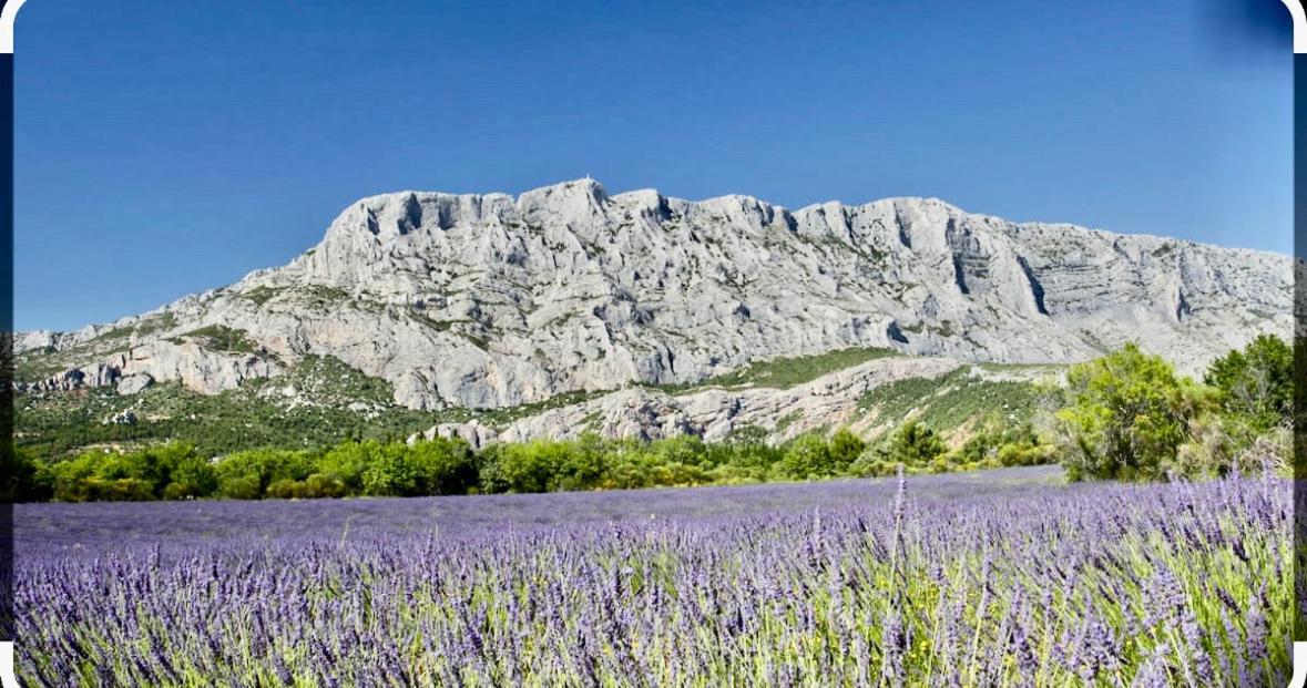 Le Clos D'Aix Studio 102 Parking Et Piscine Gratuite Aix-en-Provence Exteriér fotografie